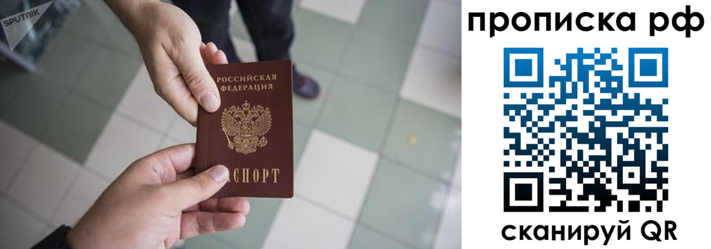 прописка гарантия в Сосновке